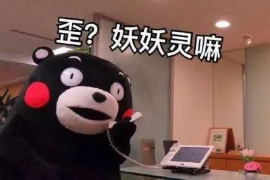 安丘融资清欠服务